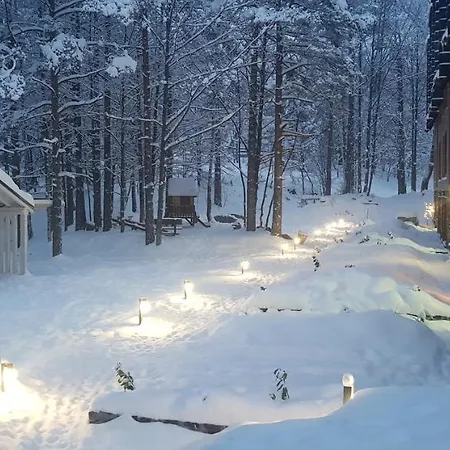 Aprtman Divcigora C14