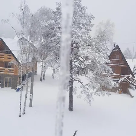 Aprtman Divcigora C14