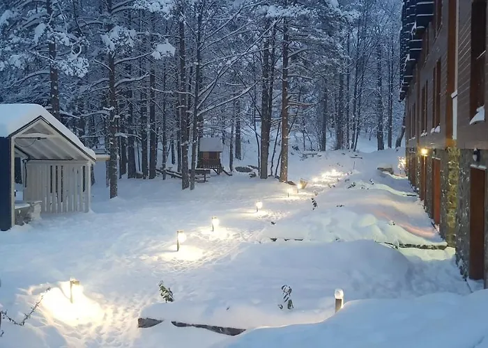 Aprtman Divcigora C14