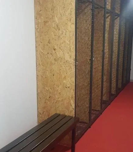 Apartman Aprtman Divcigora C14