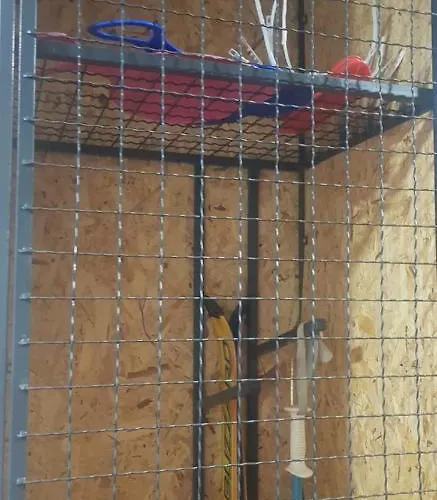 Aprtman Divcigora C14 Divcibare