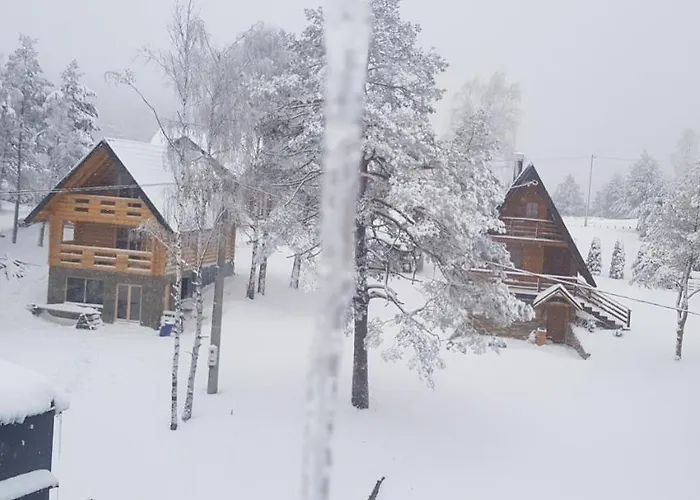 Aprtman Divcigora C14